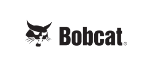 bobcat